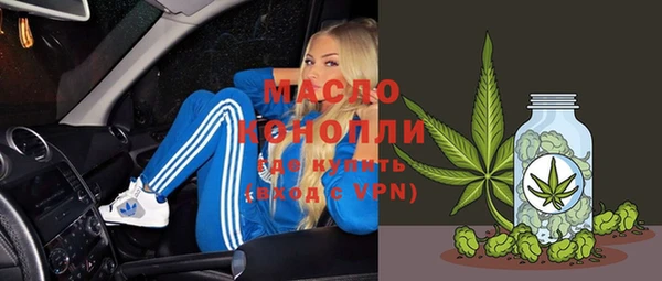 индика Аркадак