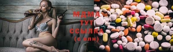 индика Аркадак