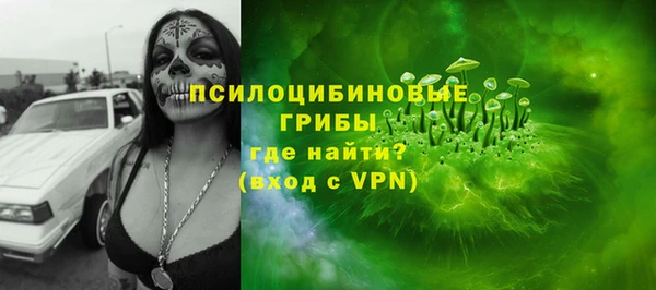 сатива Арсеньев