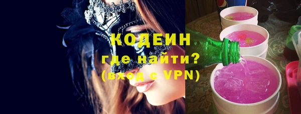 индика Аркадак