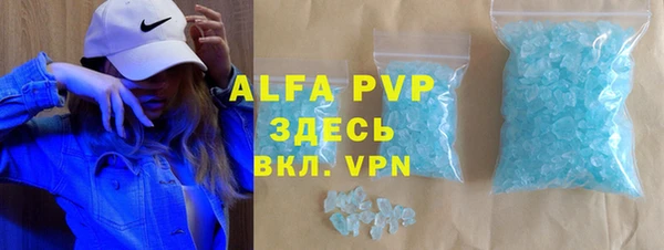 индика Аркадак