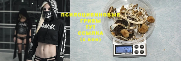 сатива Арсеньев