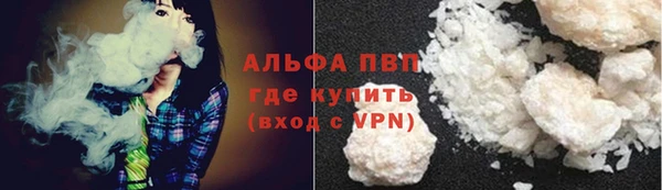 сатива Арсеньев