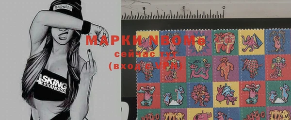 стафф Армянск